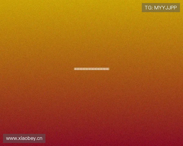 闪电接单官网下载安装指南,快速开启高效接单之路 闪电接单官网下载安装指南,快速开启高效接单之路